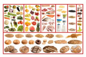 DGE-Ernährungskreis – Gesunde & ausgewogene Ernährung – Beste Abnehmen ...