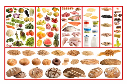 DGE-Ernährungskreis – Gesunde & ausgewogene Ernährung
